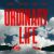 Wiz Khalifa, Kiddo, KDDK, Imanbek - Ordinary Life